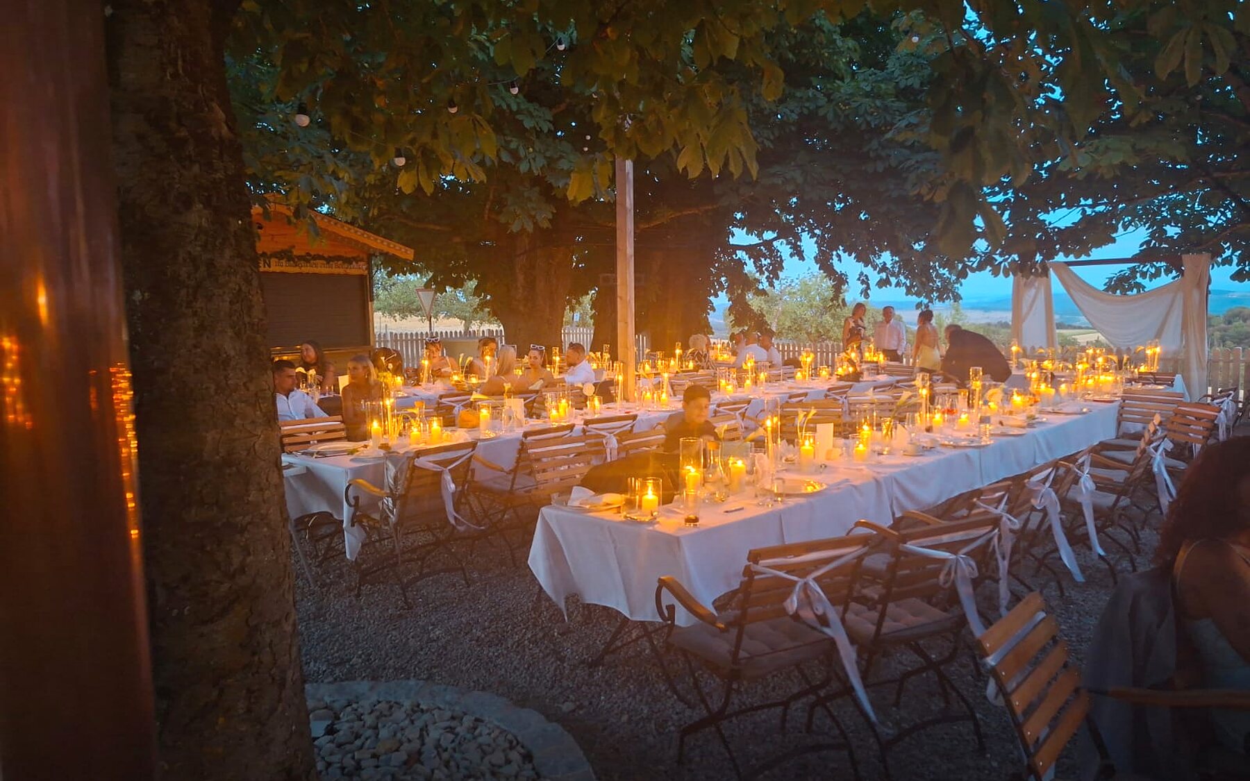 Festlich gedeckte Tafel unter alten Bäumen am Berghaus